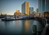 Auckland 