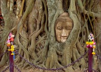 Ayutthaya 