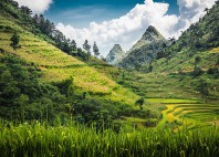 Bắc Hà 