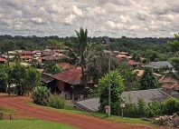 Cacao 