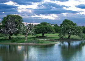 Chaco : un véritable habitat pour la diversité