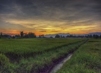 Province de Chiang Rai 