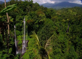 Chutes de Sekumpul : les cascades septuplées !