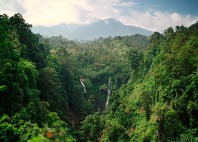 Chutes de Sekumpul 