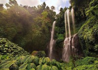 Chutes de Sekumpul 