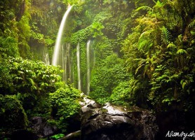 Chutes de Tiu Kelep : de sublimissimes cascades !