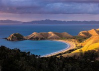 Coromandel 