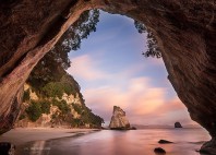 Coromandel 