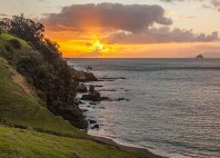 Coromandel 