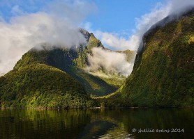 Doubtful Sound : le plus grand fjord de la Nouvelle-Zélande