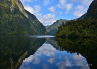 Doubtful Sound 