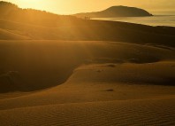 Dunes de Mui Ne 