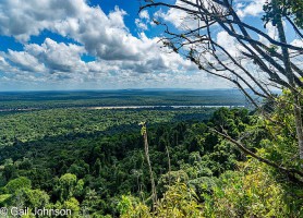 Forêt Iwokrama : découvrez une biodiversité éblouissante