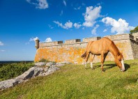 Fort de santa teresa 