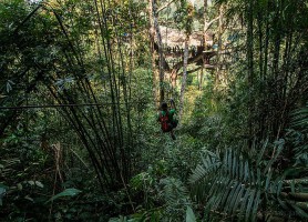 Gibbon Experience : les plus belles maisons dans les arbres !