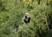 Gibbon Experience 