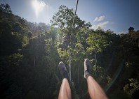 Gibbon Experience 