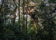 Gibbon Experience 