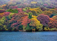 Hakone 
