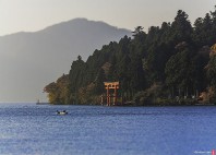 Hakone 