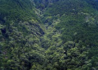 Hakone 