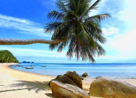 Ko Pha Ngan : vivez maintenant les vacances de vos rêves !