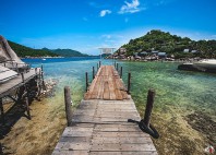 Ko Tao 