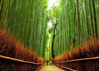 Kyoto 
