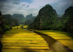 Tam Cốc : la splendide baie d’Halong terrestre