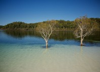 Lac McKenzie 