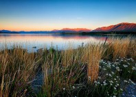 Lac Tekapo 