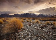 Lac Tekapo 