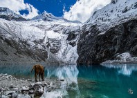 Laguna 69 