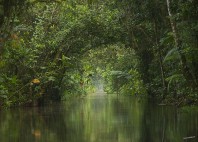 Marais de Kaw 