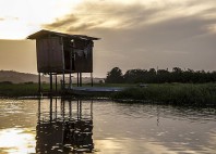 Marais de Kaw 