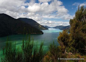 Marlborough Sounds : les fantastiques vallées isolées