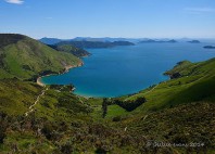 Marlborough Sounds 