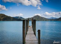Marlborough Sounds 