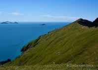 Marlborough Sounds 