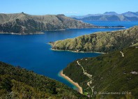 Marlborough Sounds 