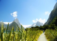 Milford Sound 