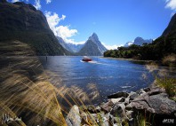Milford Sound 
