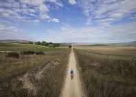 Otago Central Rail Trail 