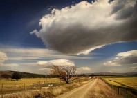 Otago Central Rail Trail 