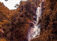 Parc national Henri Pittier 
