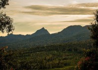 Parc national Kerinci Seblat 