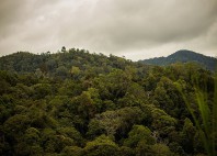Parc national Kerinci Seblat 