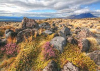 Parc national de Tongariro 