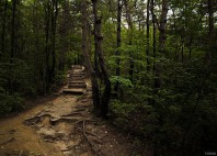 Parc national de Bukhansan 