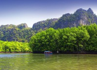 Parc naturel de Sungai Kilim 